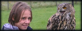 Huntly Falconry Centre Corporate Days and Events