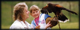 Huntly Falconry Centre